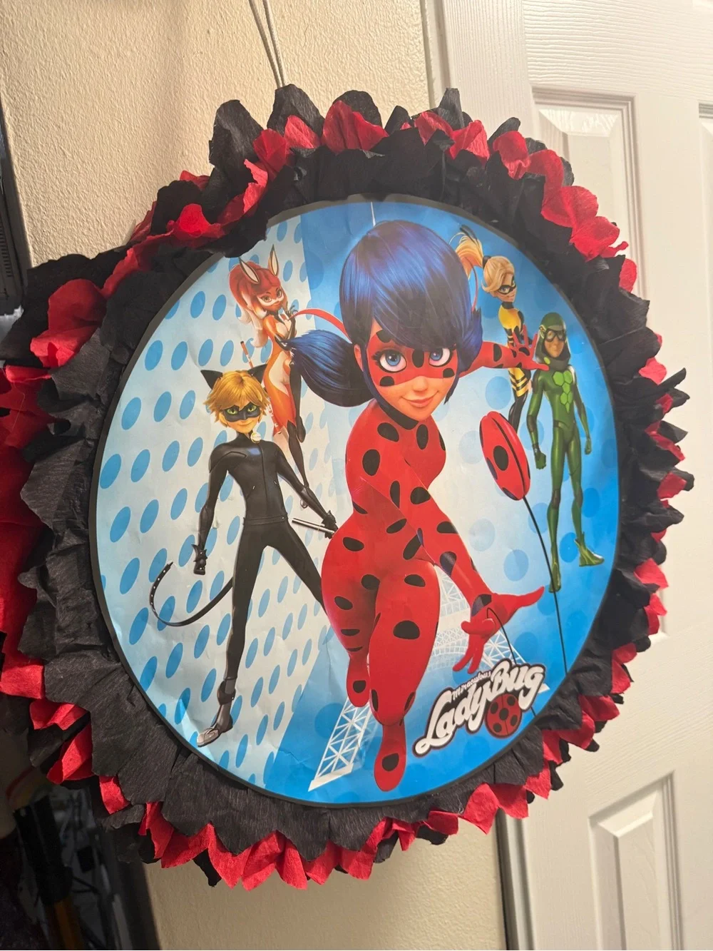 Hand Crafted Red and Black Ladybug Superhero Character Design Party decor